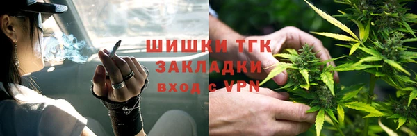 спиды Богданович