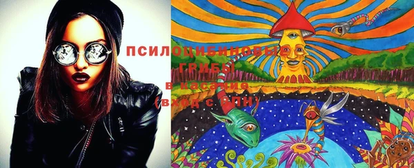дурь Тайга