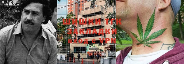 прущие грибы Бугульма