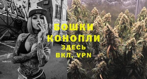 спиды Богданович