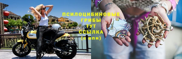 2c-b Бородино