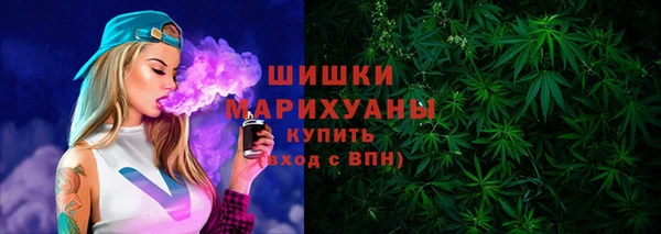 спиды Богданович